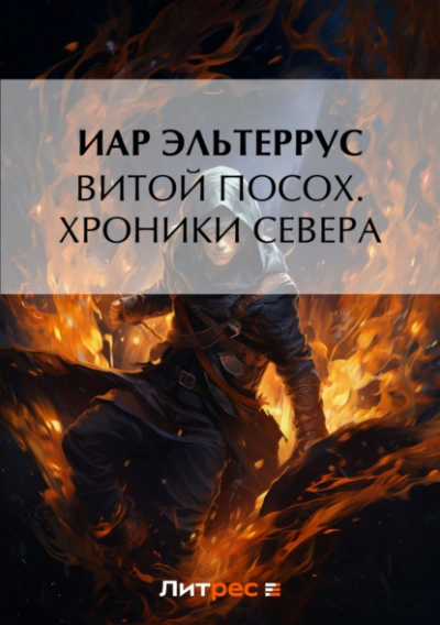 Хроники Севера - Иар Эльтеррус, Аэри Ларк - современные аудиокниги попаданцы мр3 слушать на лучшем сайте booksaudio-online.com