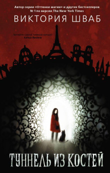 Туннель из костей - Виктория Шваб - современные аудиокниги попаданцы мр3 слушать на лучшем сайте booksaudio-online.com