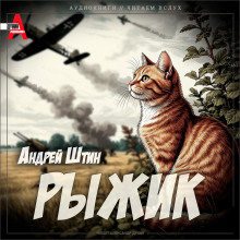 Рыжик - Андрей Штин - современные аудиокниги попаданцы мр3 слушать на лучшем сайте booksaudio-online.com