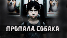 Пропала собака! - Александр Радченко - современные аудиокниги попаданцы мр3 слушать на лучшем сайте booksaudio-online.com