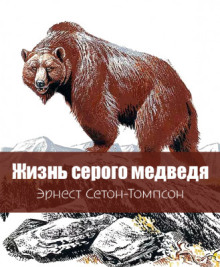 Жизнь серого медведя - Эрнест Сетон-Томпсон - современные аудиокниги попаданцы мр3 слушать на лучшем сайте booksaudio-online.com