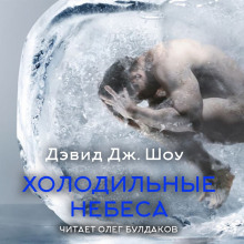 Холодильные небеса - Дэвид Дж. Шоу - современные аудиокниги попаданцы мр3 слушать на лучшем сайте booksaudio-online.com