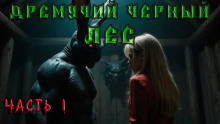 Дремучий Чёрный Лес - Андрей Кунгурцев - современные аудиокниги попаданцы мр3 слушать на лучшем сайте booksaudio-online.com