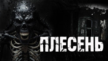 Плесень - Александр Радченко - современные аудиокниги попаданцы мр3 слушать на лучшем сайте booksaudio-online.com
