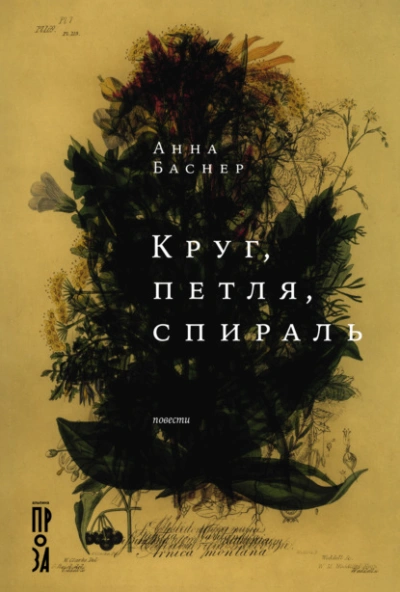 Круг, петля, спираль - Анна Баснер - современные аудиокниги попаданцы мр3 слушать на лучшем сайте booksaudio-online.com