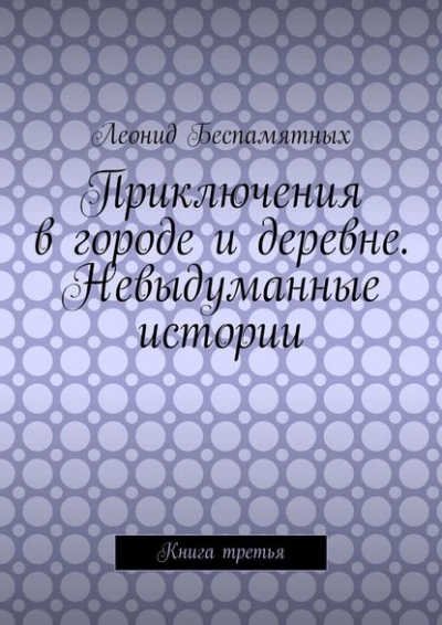 Приключения в городе и деревне. Невыдуманные истории - Леонид Беспамятных - современные аудиокниги попаданцы мр3 слушать на лучшем сайте booksaudio-online.com