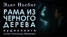 Рама из чёрного дерева - Эдит Несбит - современные аудиокниги попаданцы мр3 слушать на лучшем сайте booksaudio-online.com