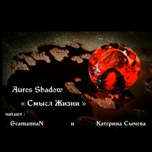 Смысл жизни - Aures Shadow - современные аудиокниги попаданцы мр3 слушать на лучшем сайте booksaudio-online.com