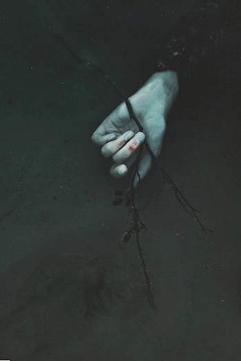 Пустоцвет (Сборник) - Игорь Шанин - современные аудиокниги попаданцы мр3 слушать на лучшем сайте booksaudio-online.com