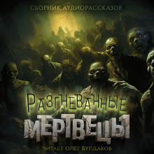 Бродячие нечестивцы - Виктор Салва - современные аудиокниги попаданцы мр3 слушать на лучшем сайте booksaudio-online.com