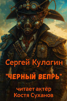 Чёрный вепрь - Сергей Кулагин - современные аудиокниги попаданцы мр3 слушать на лучшем сайте booksaudio-online.com