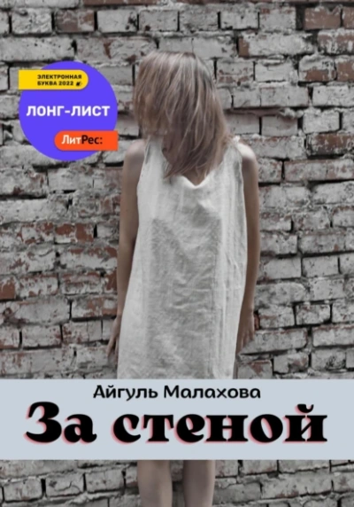 За стеной - Айгуль Малахова - современные аудиокниги попаданцы мр3 слушать на лучшем сайте booksaudio-online.com