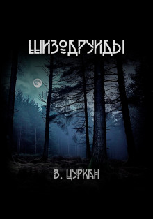 Шизодруиды - Валерий Цуркан - современные аудиокниги попаданцы мр3 слушать на лучшем сайте booksaudio-online.com