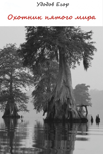 Охотник пятого мира - Егор Удодов - современные аудиокниги попаданцы мр3 слушать на лучшем сайте booksaudio-online.com