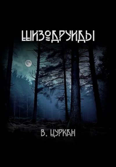 Шизодруиды - Валерий Цуркан - современные аудиокниги попаданцы мр3 слушать на лучшем сайте booksaudio-online.com