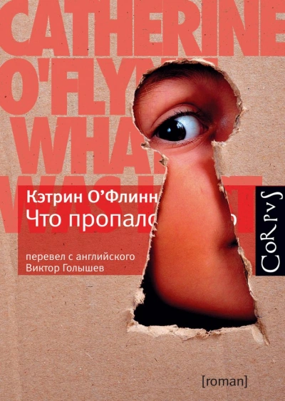 Что пропало - Кэтрин О'Флинн - современные аудиокниги попаданцы мр3 слушать на лучшем сайте booksaudio-online.com