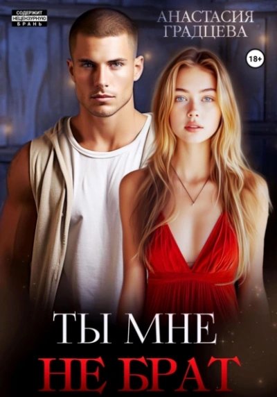 Ты мне не брат - Анастасия Градцева - современные аудиокниги попаданцы мр3 слушать на лучшем сайте booksaudio-online.com
