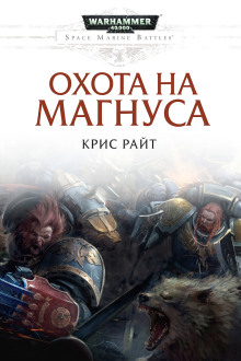 Охота на Магнуса - Крис Райт - современные аудиокниги попаданцы мр3 слушать на лучшем сайте booksaudio-online.com