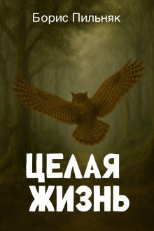 Целая жизнь - Борис Пильняк - современные аудиокниги попаданцы мр3 слушать на лучшем сайте booksaudio-online.com