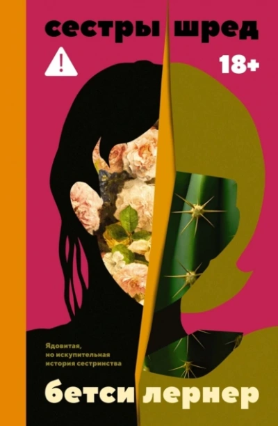 Сестры Шред - Бетси Лернер - современные аудиокниги попаданцы мр3 слушать на лучшем сайте booksaudio-online.com