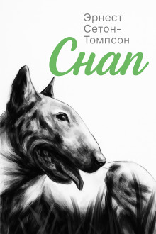 Снап - Эрнест Сетон-Томпсон - современные аудиокниги попаданцы мр3 слушать на лучшем сайте booksaudio-online.com