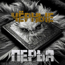 Чёрные перья - Артём Артёмов - современные аудиокниги попаданцы мр3 слушать на лучшем сайте booksaudio-online.com