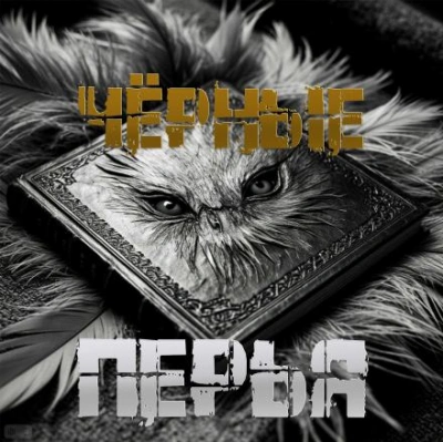 Чёрные перья - Артём Артёмов - современные аудиокниги попаданцы мр3 слушать на лучшем сайте booksaudio-online.com