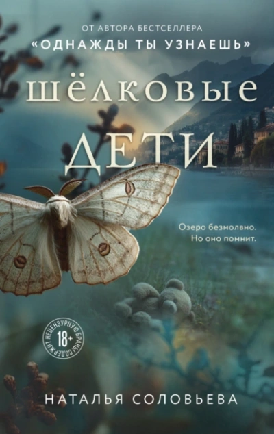 Шелковые дети - Наталья Соловьева - современные аудиокниги попаданцы мр3 слушать на лучшем сайте booksaudio-online.com