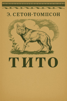 Тито - Эрнест Сетон-Томпсон - современные аудиокниги попаданцы мр3 слушать на лучшем сайте booksaudio-online.com