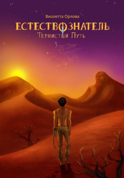 Тернистый путь - Виолетта Орлова - современные аудиокниги попаданцы мр3 слушать на лучшем сайте booksaudio-online.com