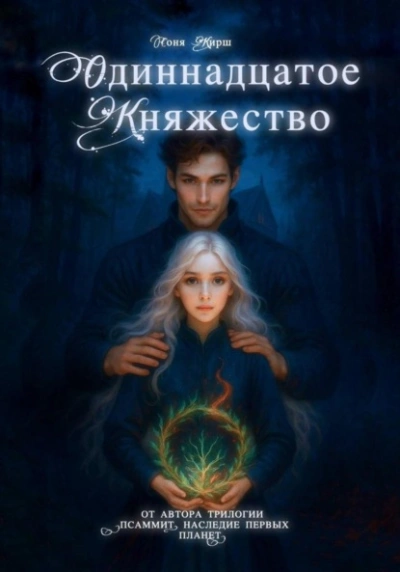 Одиннадцатое княжество - Соня Кирш - современные аудиокниги попаданцы мр3 слушать на лучшем сайте booksaudio-online.com