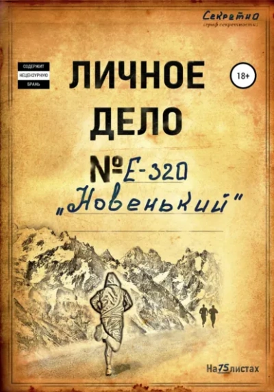 Новенький - позывной Фанат - современные аудиокниги попаданцы мр3 слушать на лучшем сайте booksaudio-online.com