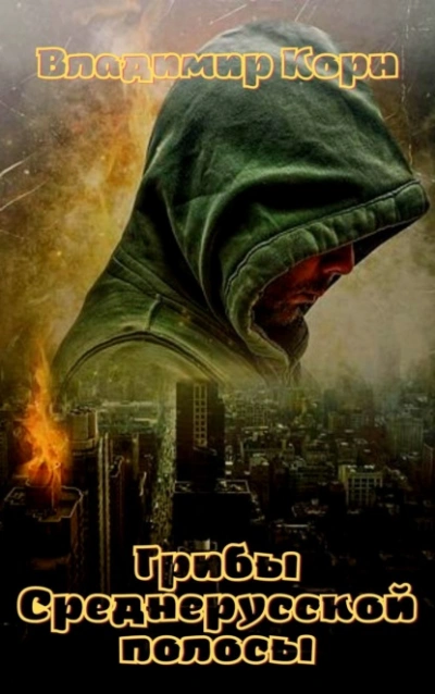 Грибы Среднерусской полосы - Владимир Корн - современные аудиокниги попаданцы мр3 слушать на лучшем сайте booksaudio-online.com