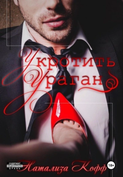 Укротить ураган - Натализа Кофф - современные аудиокниги попаданцы мр3 слушать на лучшем сайте booksaudio-online.com