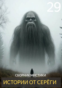 Истории от Серёги №29 - Автор неизвестен - современные аудиокниги попаданцы мр3 слушать на лучшем сайте booksaudio-online.com