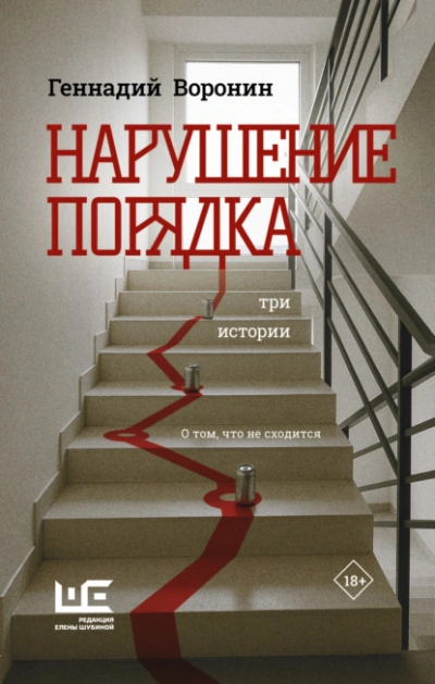 Нарушение порядка. Три истории - Геннадий Воронин - современные аудиокниги попаданцы мр3 слушать на лучшем сайте booksaudio-online.com