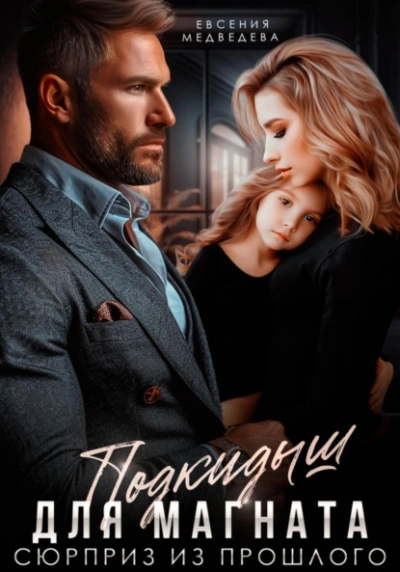 Подкидыш для Магната. Сюрприз из прошлого - Евсения Медведева - современные аудиокниги попаданцы мр3 слушать на лучшем сайте booksaudio-online.com