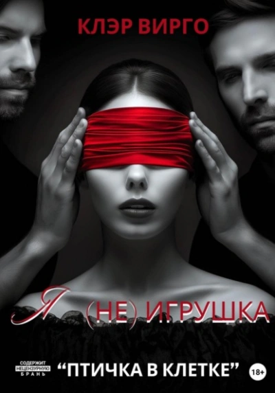 Я (не) игрушка - Клэр Вирго - современные аудиокниги попаданцы мр3 слушать на лучшем сайте booksaudio-online.com