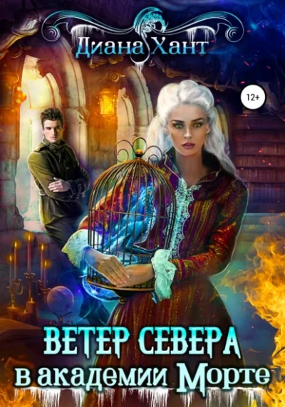 Научить любить тёмного. Ветер Севера в академии Морте - Диана Хант - современные аудиокниги попаданцы мр3 слушать на лучшем сайте booksaudio-online.com