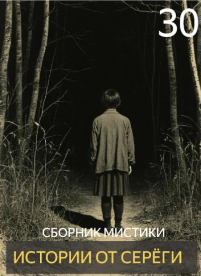 Истории от Серёги 30 - современные аудиокниги попаданцы мр3 слушать на лучшем сайте booksaudio-online.com