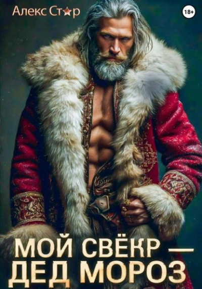 Мой свёкр – Дед Мороз - Алекс Стар - современные аудиокниги попаданцы мр3 слушать на лучшем сайте booksaudio-online.com
