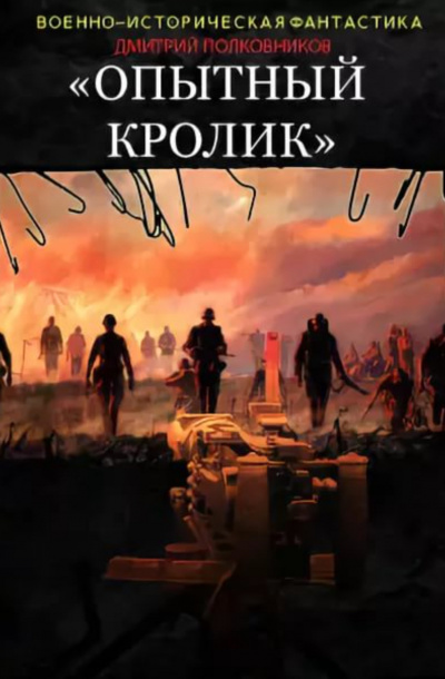 Опытный кролик - Дмитрий Полковников - современные аудиокниги попаданцы мр3 слушать на лучшем сайте booksaudio-online.com