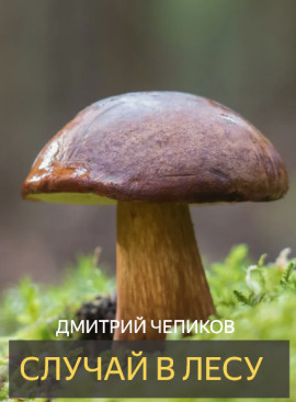Случай в лесу - Дмитрий Чепиков - современные аудиокниги попаданцы мр3 слушать на лучшем сайте booksaudio-online.com