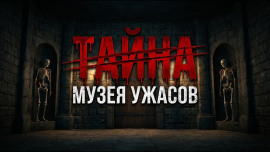 Галстук Вудро Вильсона - Патриция Хайсмит - современные аудиокниги попаданцы мр3 слушать на лучшем сайте booksaudio-online.com