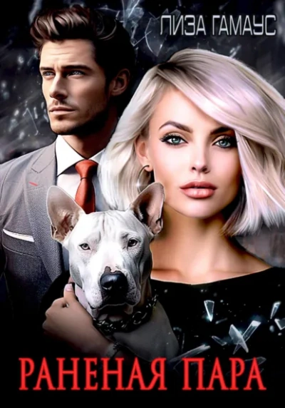 Раненая пара - Лиза Гамаус - современные аудиокниги попаданцы мр3 слушать на лучшем сайте booksaudio-online.com