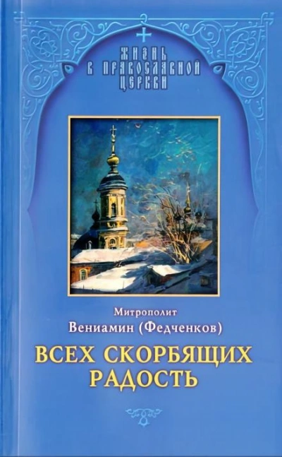 Всех скорбящих радость - Вениамин Федченков - современные аудиокниги попаданцы мр3 слушать на лучшем сайте booksaudio-online.com
