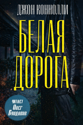 Белая дорога - Джон Коннолли - современные аудиокниги попаданцы мр3 слушать на лучшем сайте booksaudio-online.com