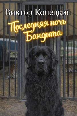 Последняя ночь Бандита - Виктор Конецкий - современные аудиокниги попаданцы мр3 слушать на лучшем сайте booksaudio-online.com