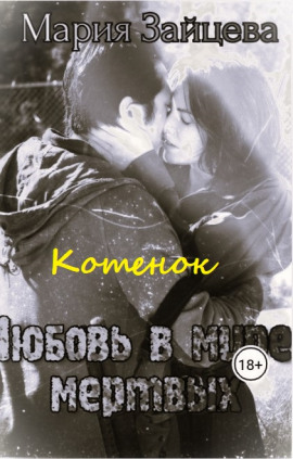 Котёнок - Мария Зайцева - современные аудиокниги попаданцы мр3 слушать на лучшем сайте booksaudio-online.com