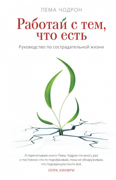 Работай с тем, что есть. Руководство по сострадательной жизни - Пема Чодрон - современные аудиокниги попаданцы мр3 слушать на лучшем сайте booksaudio-online.com